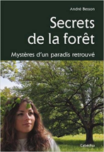 SECRETS DE LA FORET